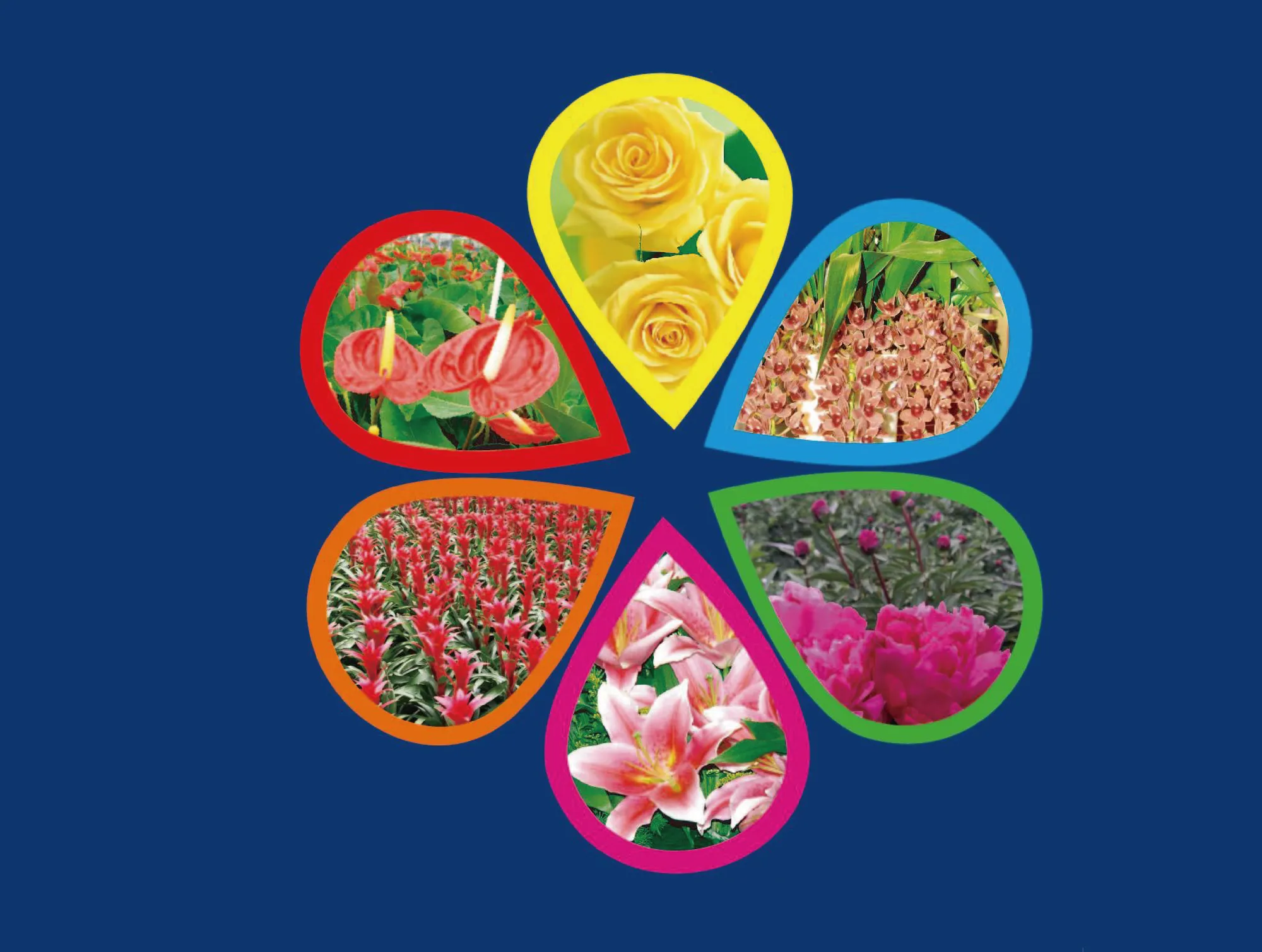 Water Soluble Fertilizer