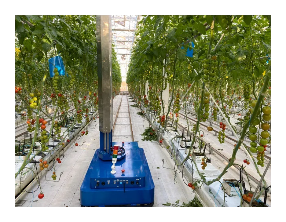 Greenhouse Inspection Robot: Pioneering a New Chapter in Modern Agricultural Technology